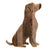 Labrador dog silhouette