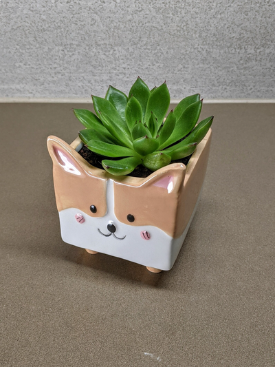 Corgi Ceramic Plant Pot