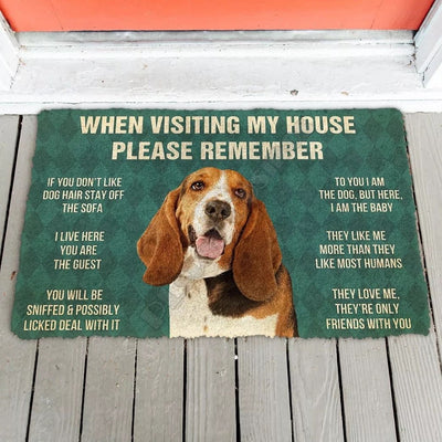 Basset hound funny doormat - Goodogz