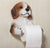 Beagle Toilet Roll Holder