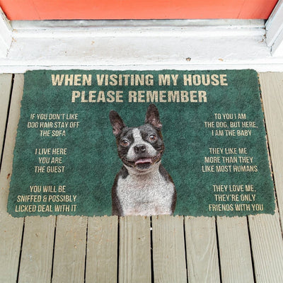 Boston terrier funny doormat - Goodogz