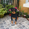 Rottweiler Dog Planter - Goodogz